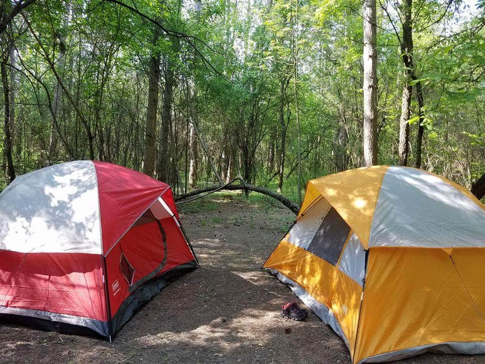 Camper submitted image from Pinewoods Campground — Kettle Moraine State Forest-Southern Unit - 3