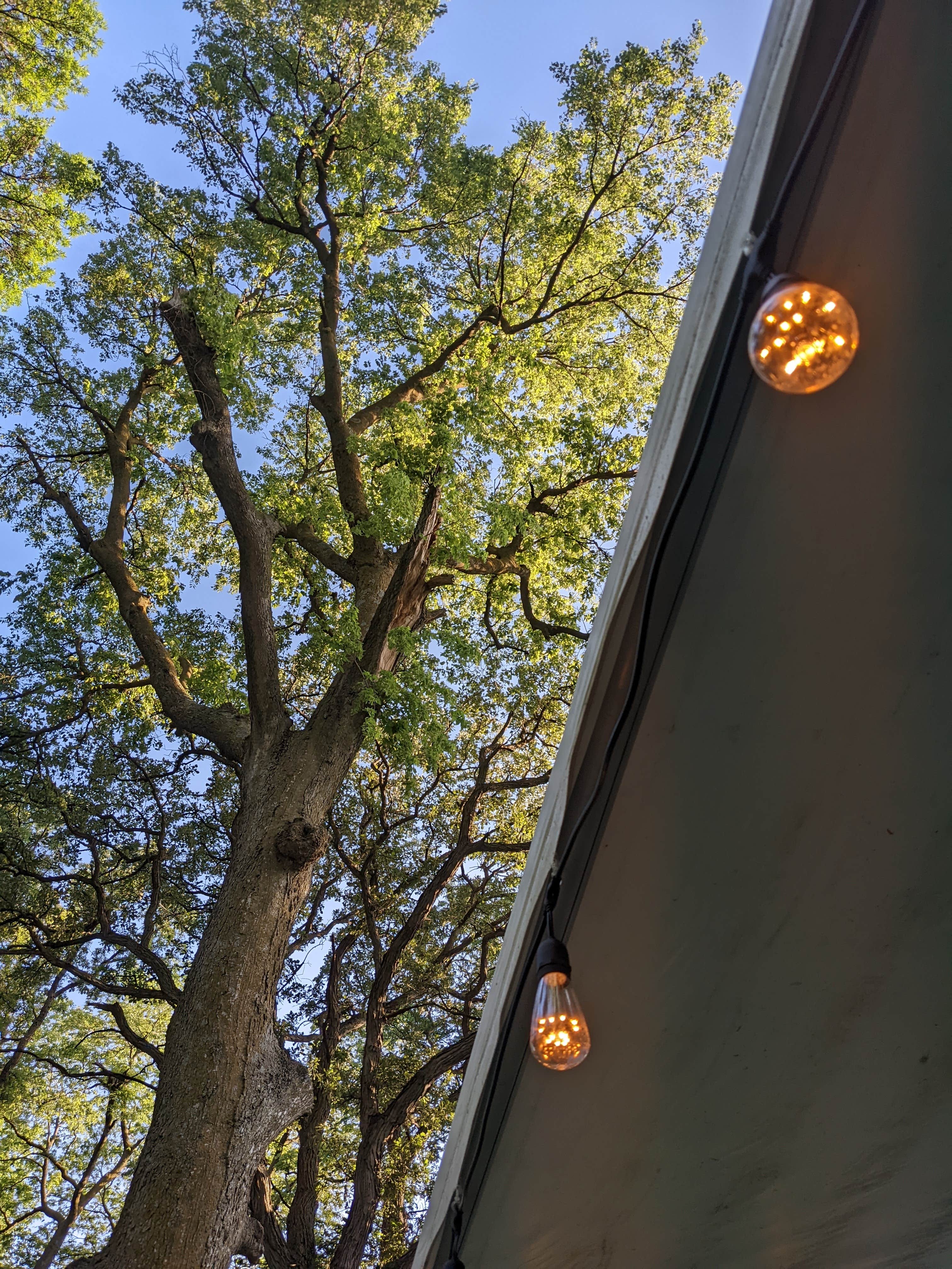 Camping near Blue Ox Factory RV Park: Oakland City Park, Tekamah, Nebraska