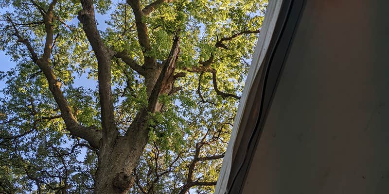 Camper submitted image from Oakland City Park