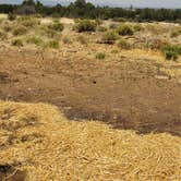 Review photo of Walnut Canyon Rd Dispersed Camping - CLOSED UNTIL 2025 by Beth M., June 18, 2022