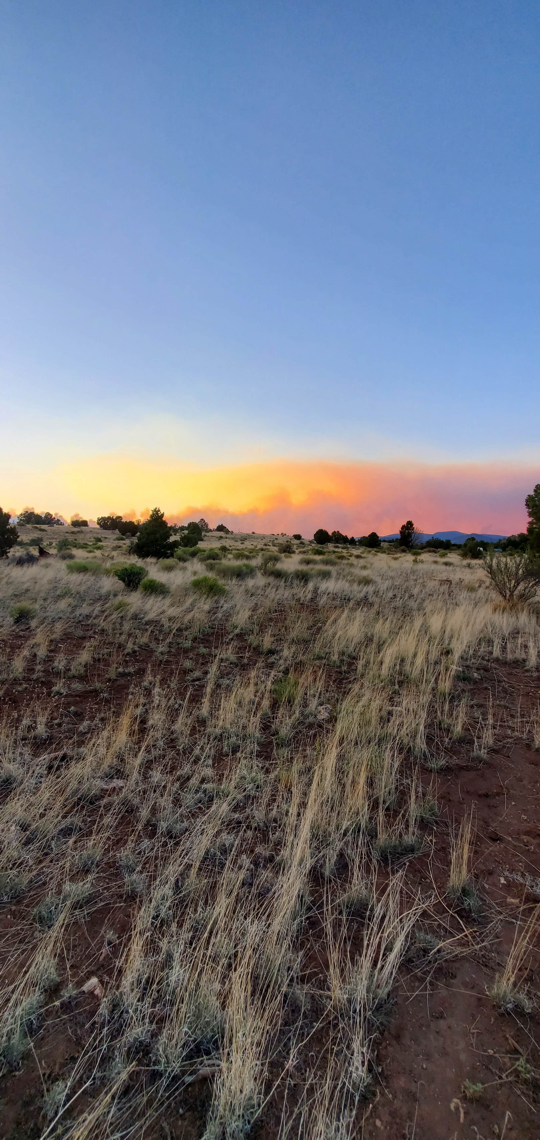 Beth M.'s photo of a dispersed camping area at Walnut Canyon Rd Dispersed Camping - CLOSED UNTIL 2025 near Mormon Lake, AZ