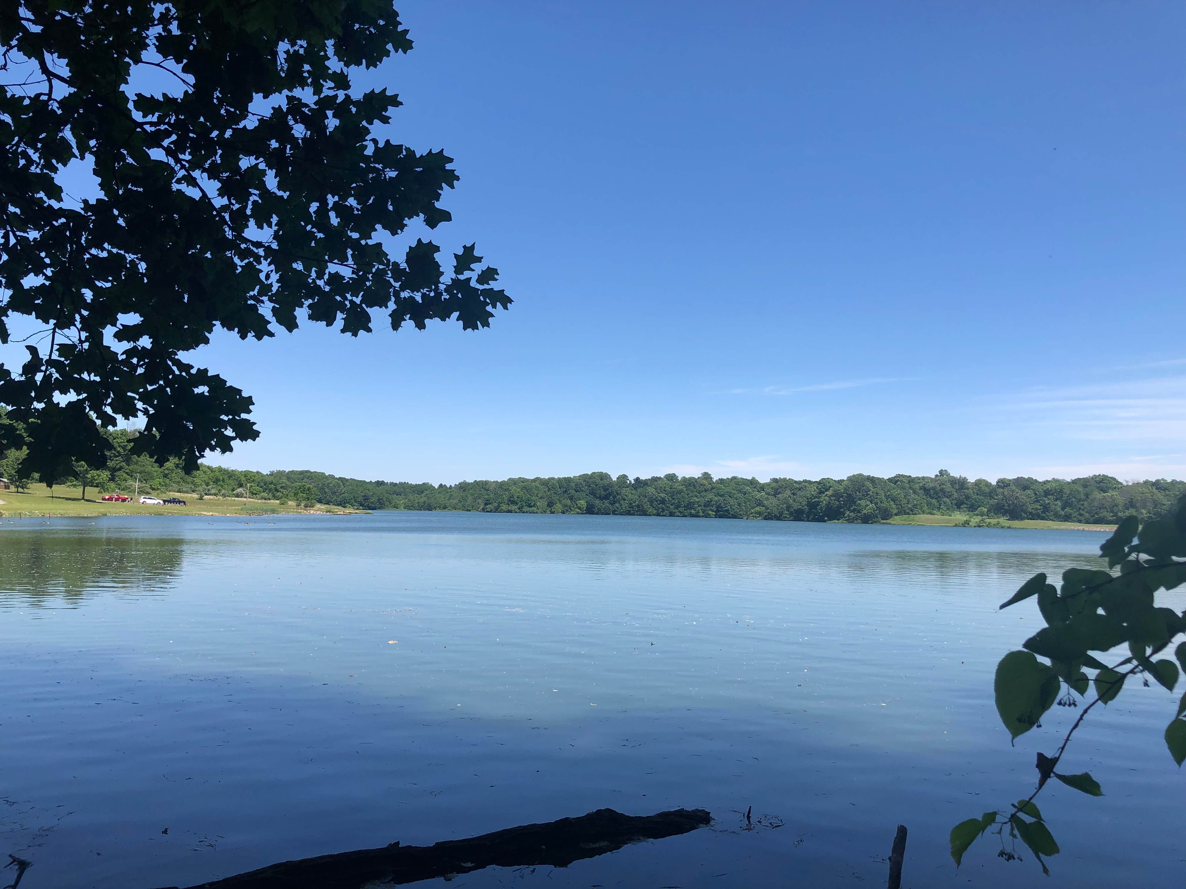 Camper-submitted photo at Westwood Park near Muncie, IN