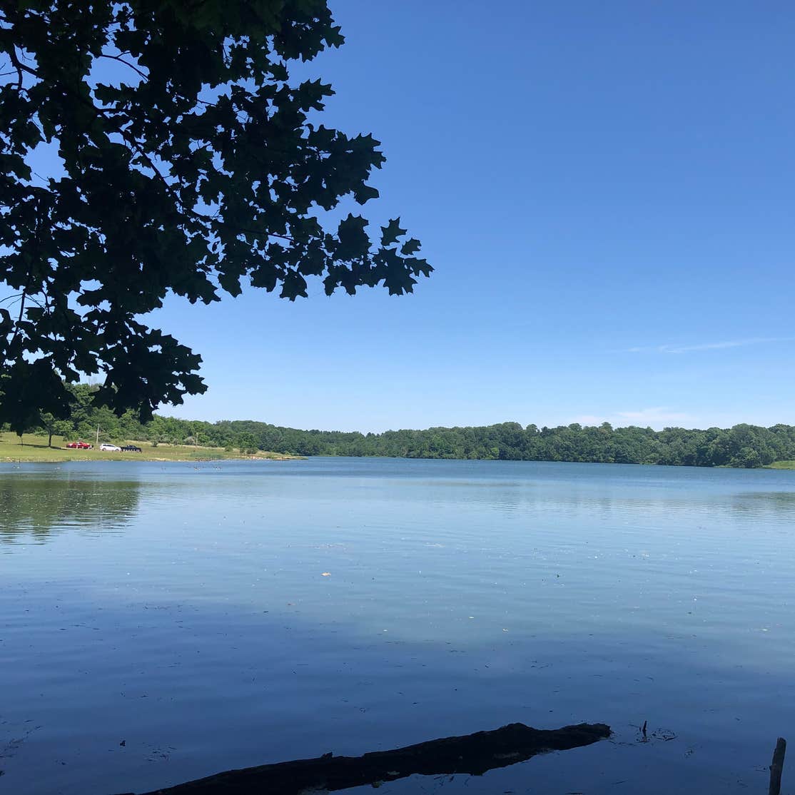 Westwood Park Camping The Dyrt