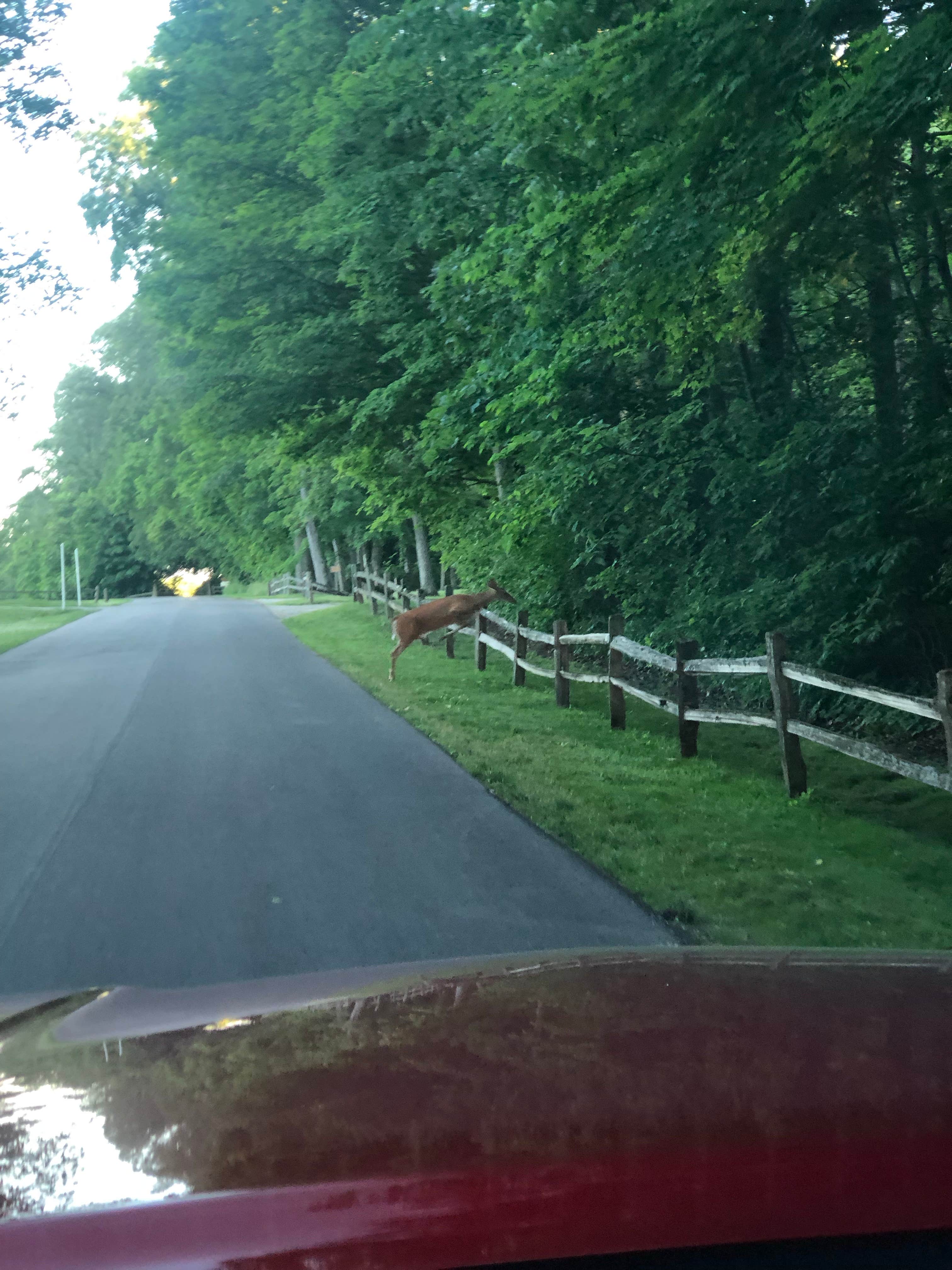 Camper-submitted photo at Westwood Park near Muncie, IN