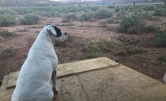 Jordan P.'s photo of camping with pets at SimpleLife Campsites near Kanab, UT