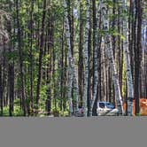 Review photo of Zippel Bay State Park Campground by Daphne D., June 18, 2022