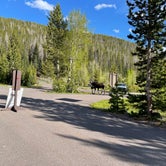 Review photo of Timber Creek Campground — Rocky Mountain National Park by Corinna H., June 12, 2022