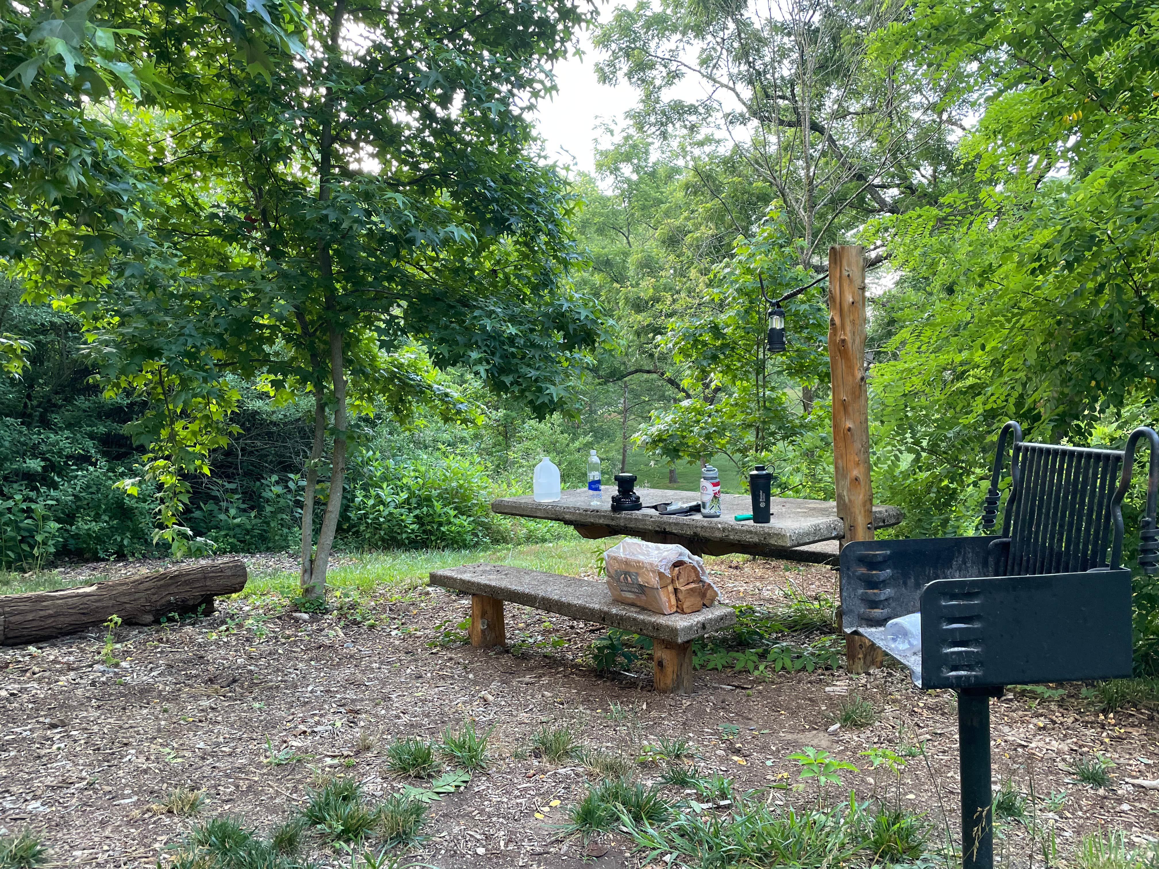 Camper-submitted photo at Cedar Ridge Hammock Campground — Warriors' Path State Park near Kingsport, TN