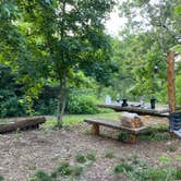 Review photo of Cedar Ridge Hammock Campground — Warriors' Path State Park by Justin C., June 18, 2022