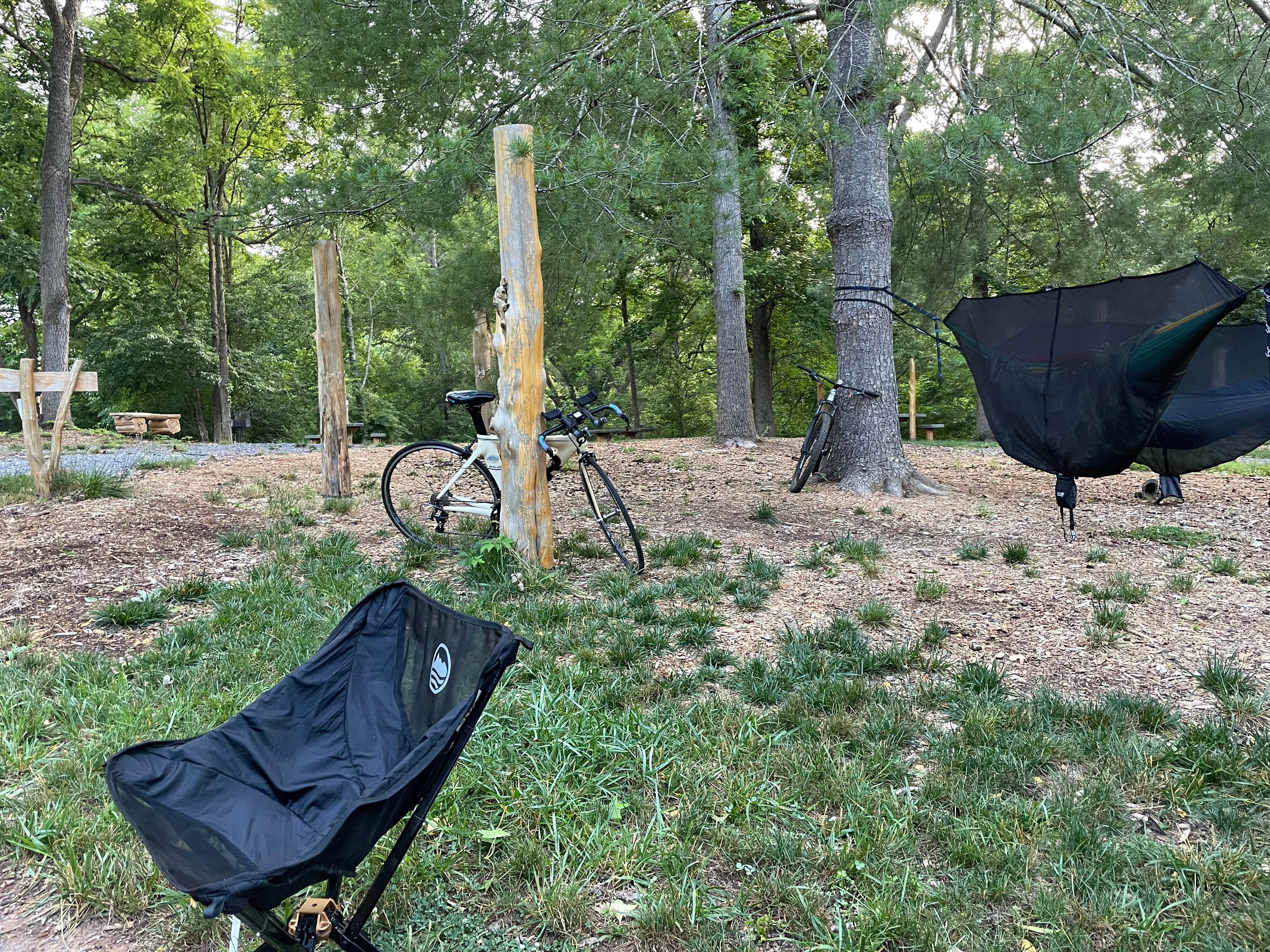 Camper-submitted photo at Cedar Ridge Hammock Campground — Warriors' Path State Park near Kingsport, TN