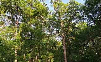 Sarah B.'s photo at Lowden State Park Campground near Winnebago, IL