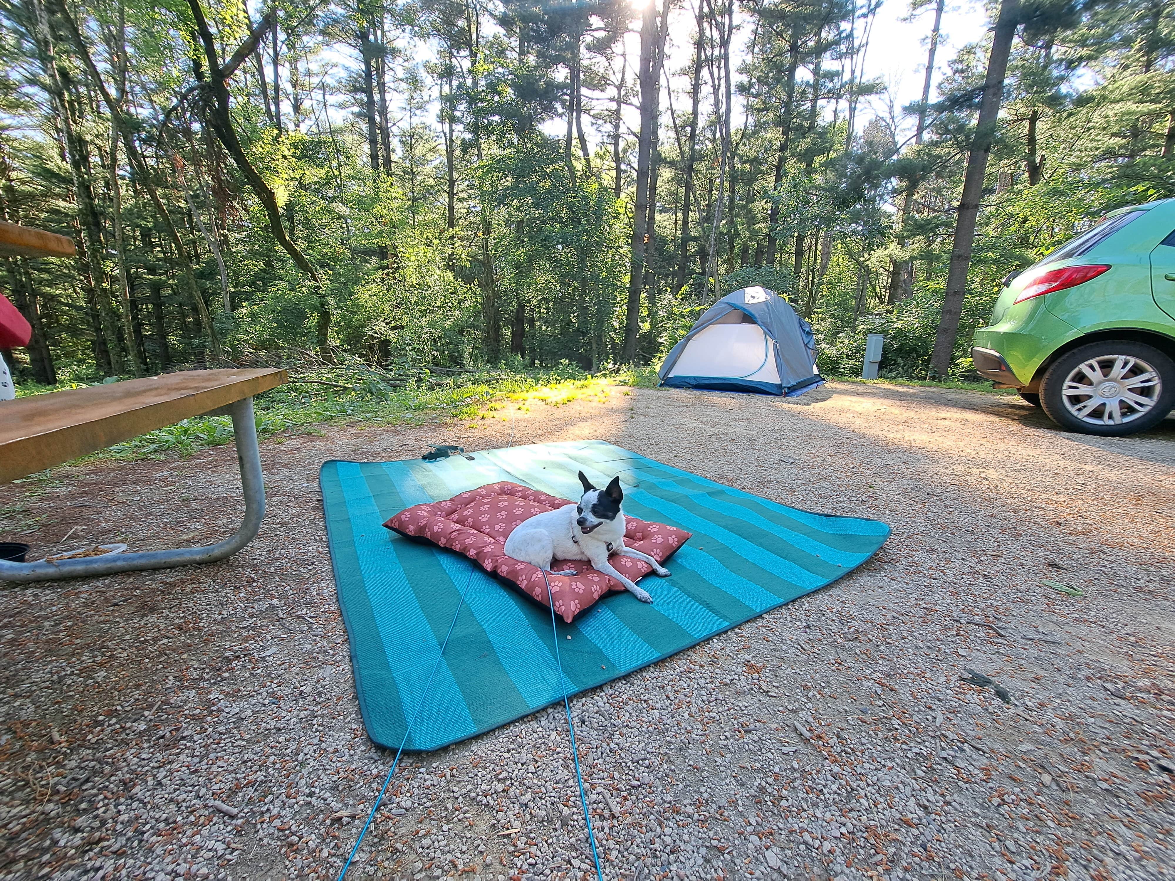 Sarah B.'s photo at Maquoketa Caves State Park Campground near Anamosa, IA