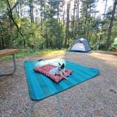 Review photo of Maquoketa Caves State Park Campground by Sarah B., June 18, 2022