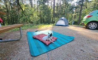 Sarah B.'s photo at Maquoketa Caves State Park Campground near Wyoming, IA