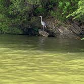 Review photo of Harrison Bay State Park Campground by John B., June 18, 2022