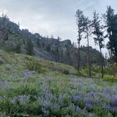Review photo of Alta Lake State Park Campground by Ariel H., June 18, 2022
