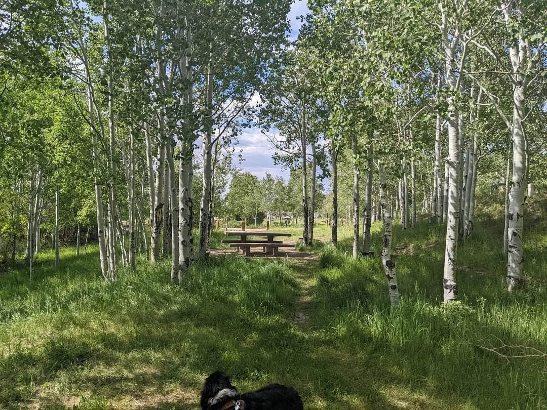 Camper-submitted photo at Mud Springs Campground near Glade Park, CO