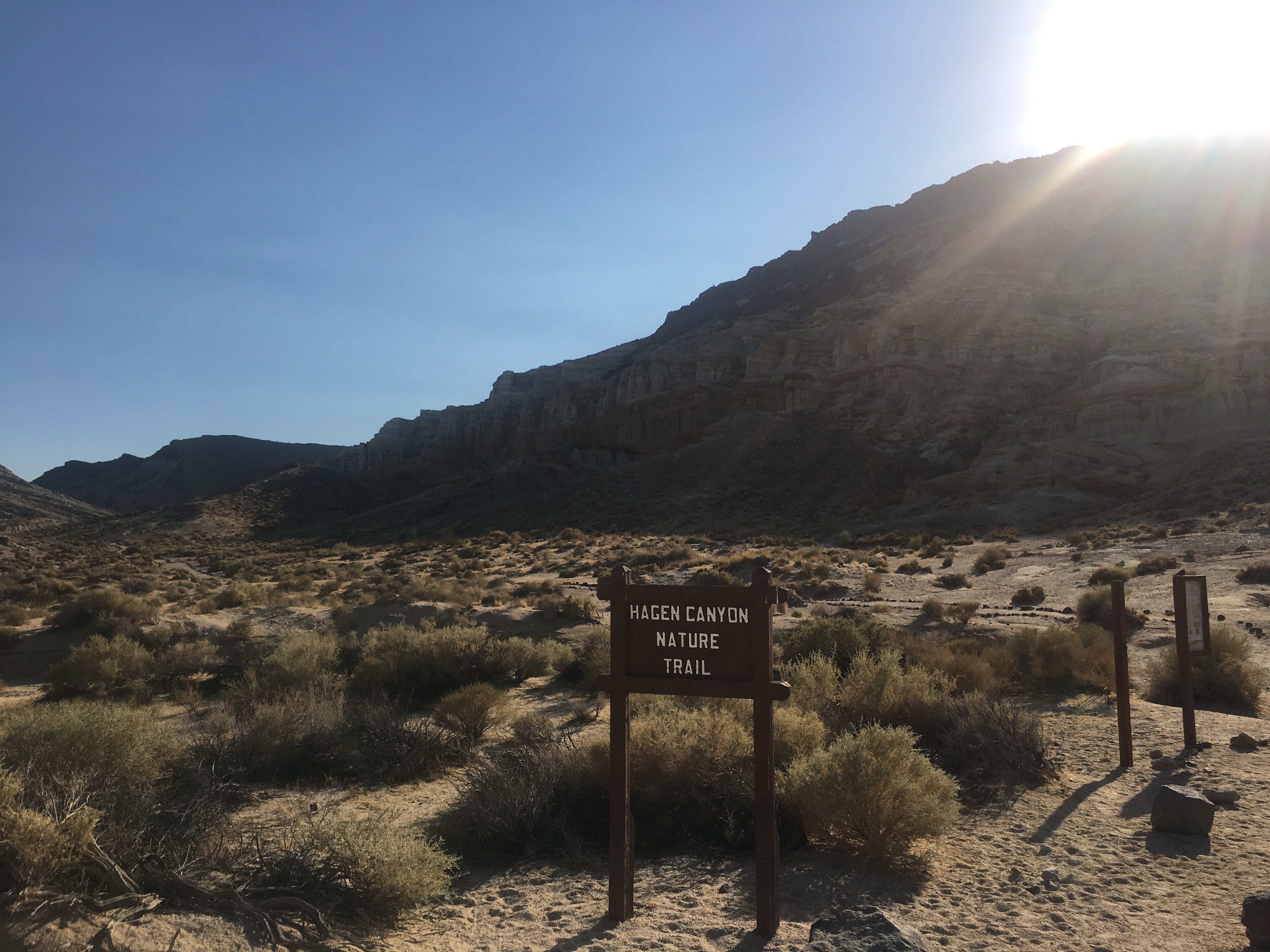 Camper submitted image from Ricardo Campground — Red Rock Canyon State Park - 3