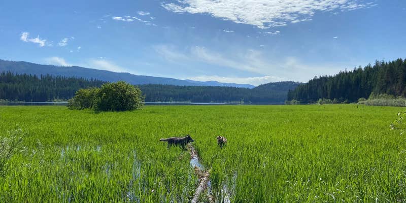 Camper submitted image from Stillwater Lake