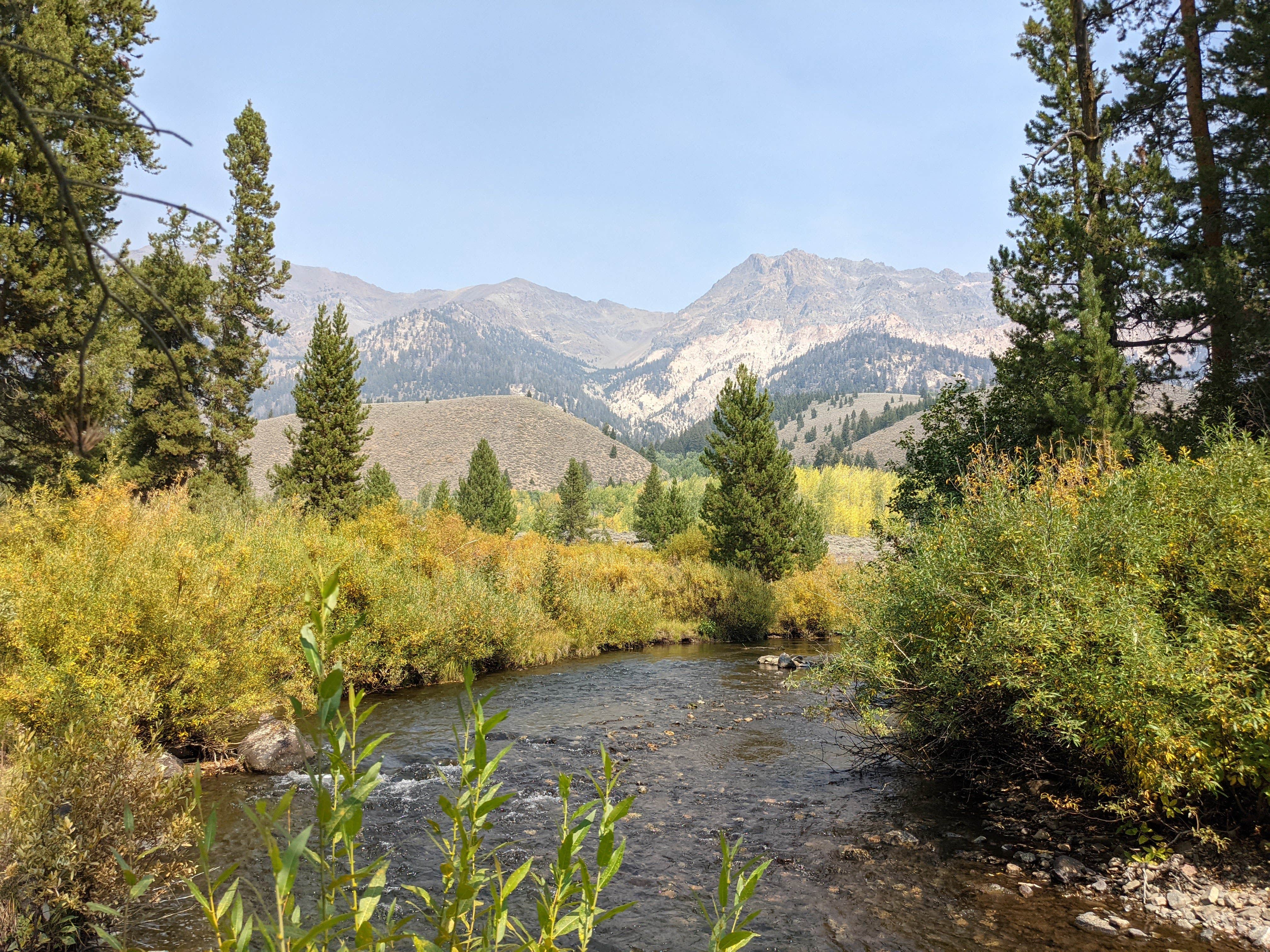 Camper-submitted photo at Prairie Creek Camping near Sawtooth National Forest