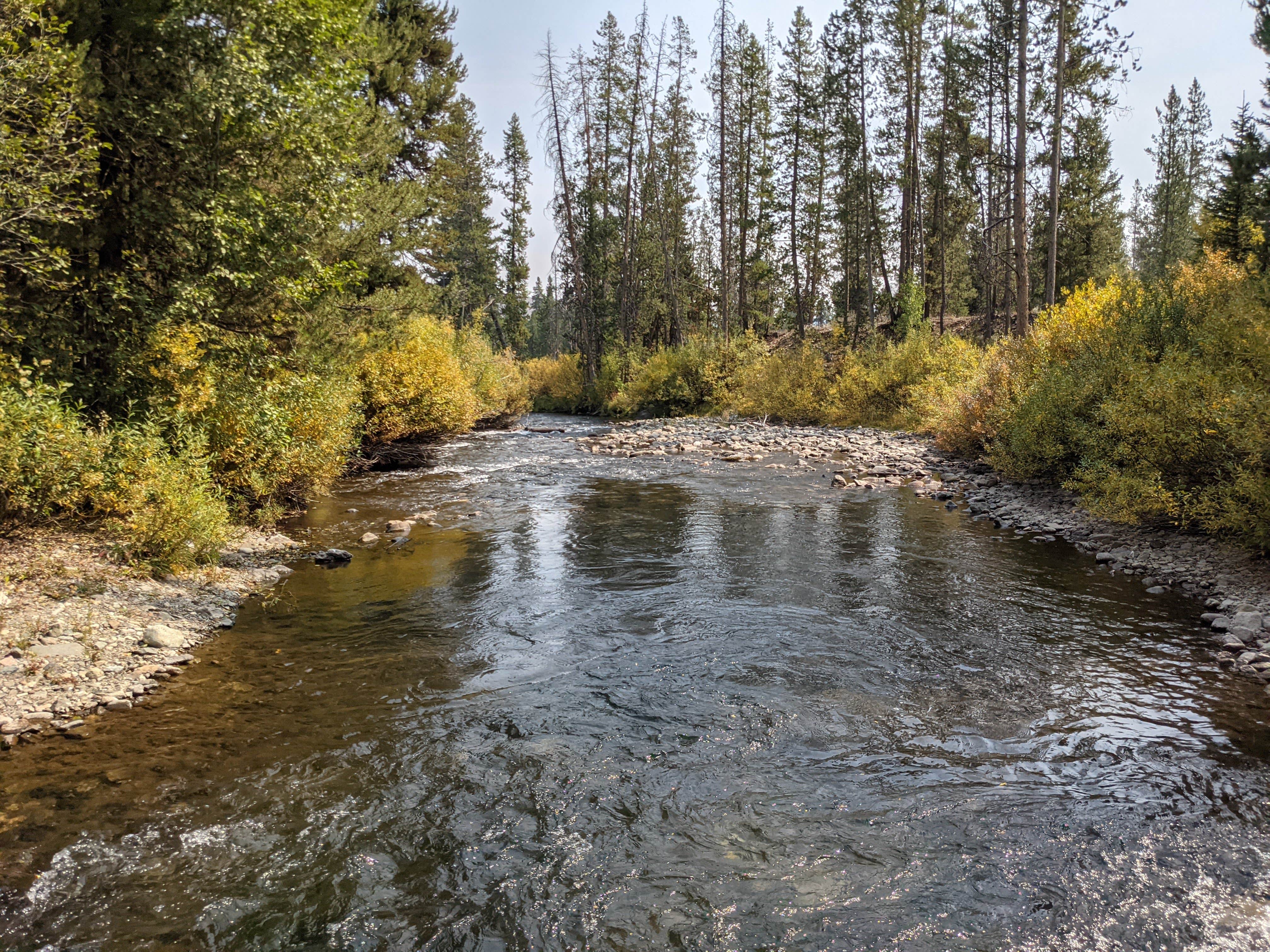 Camper-submitted photo at Prairie Creek Camping near Sawtooth National Forest