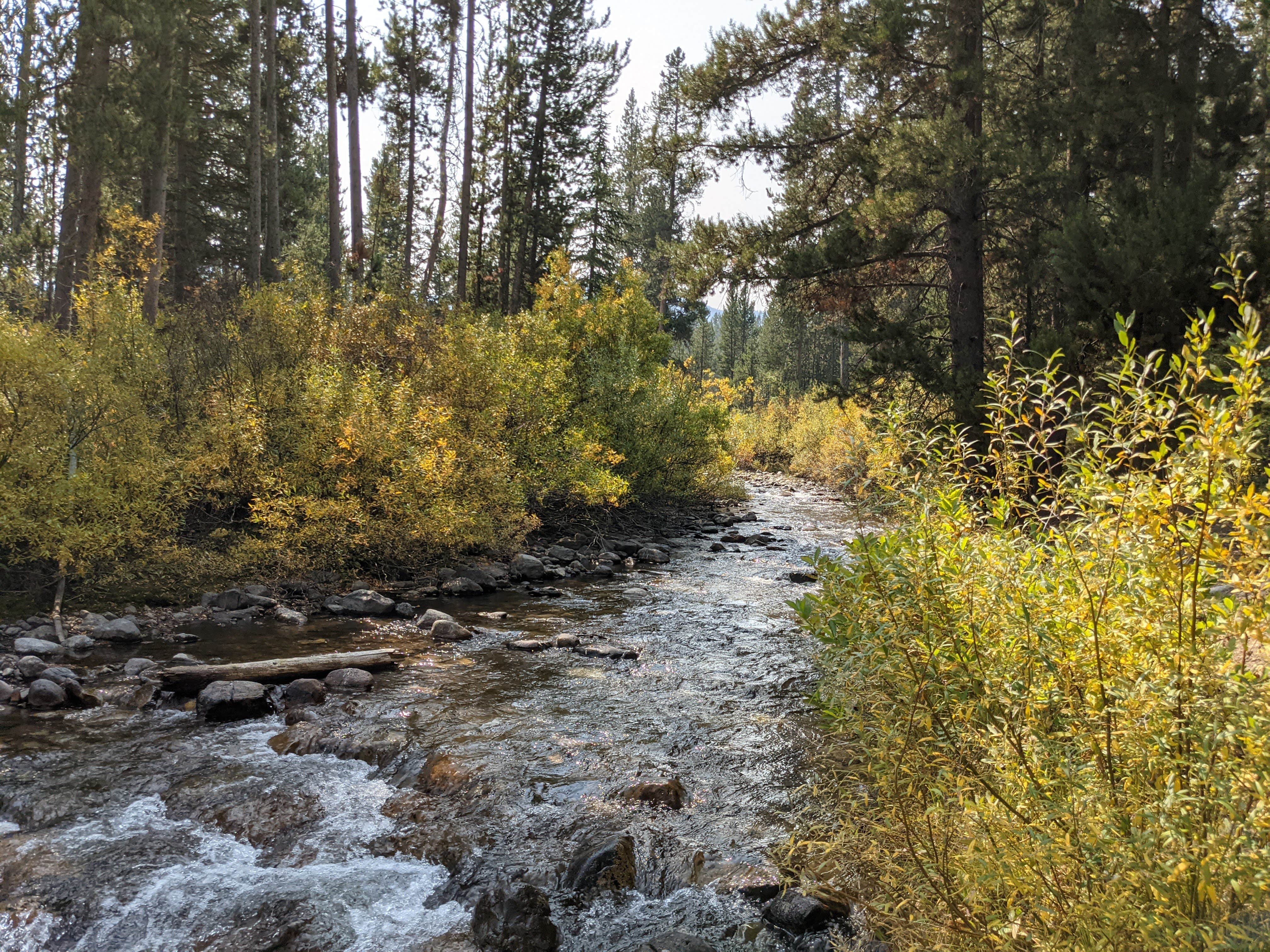 Camper-submitted photo at Prairie Creek Camping near Sawtooth National Forest