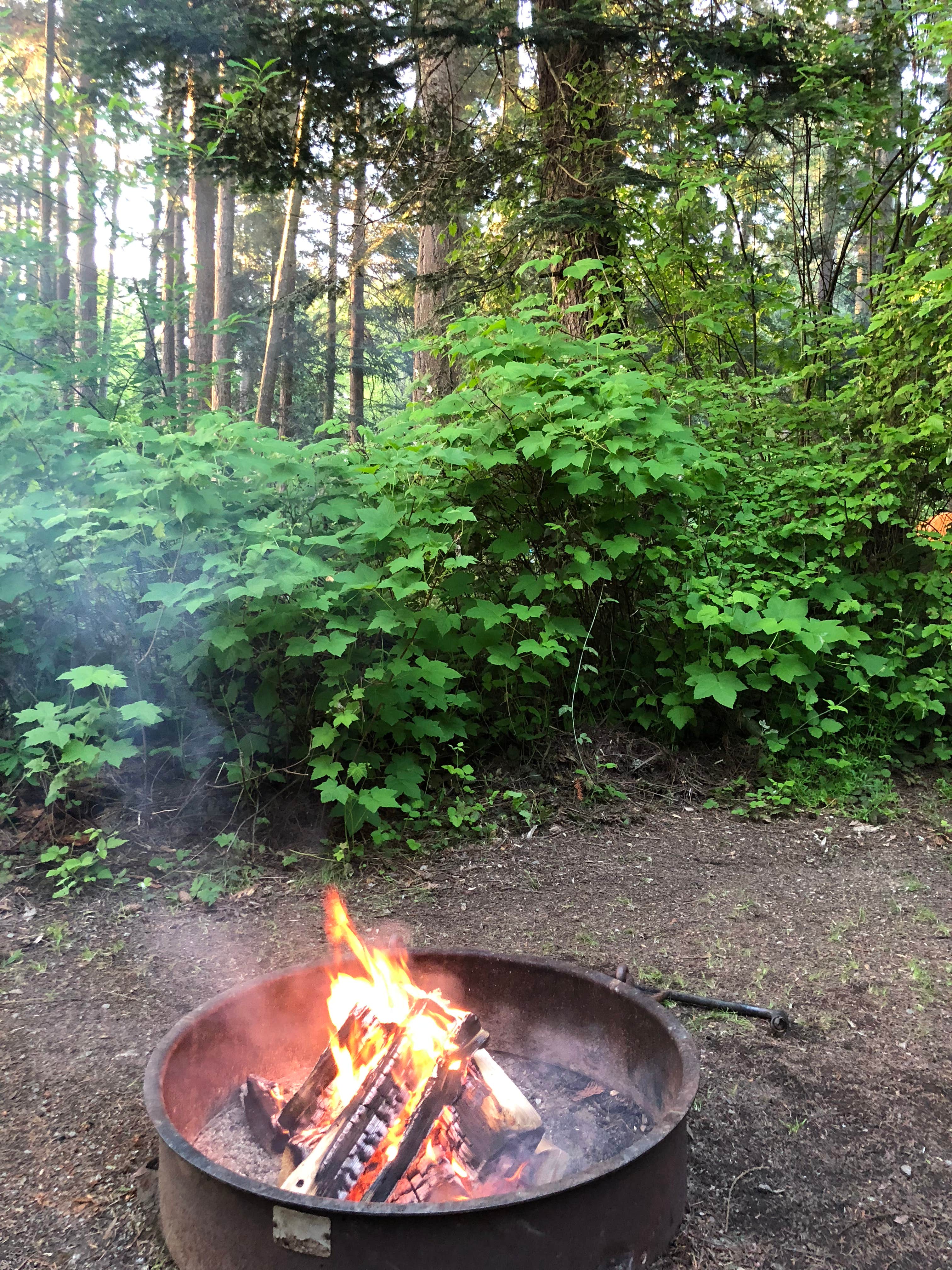 Marcia L.'s photo at Bay View State Park Campground near Conway, WA