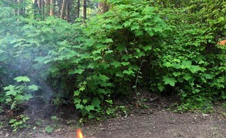 Marcia L.'s photo at Bay View State Park Campground near Mount Vernon, WA