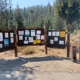 Review photo of Mormon Bend Campground by Laura M., June 18, 2022