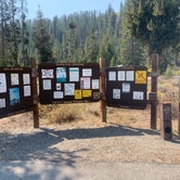 Review photo of Mormon Bend Campground by Laura M., June 18, 2022