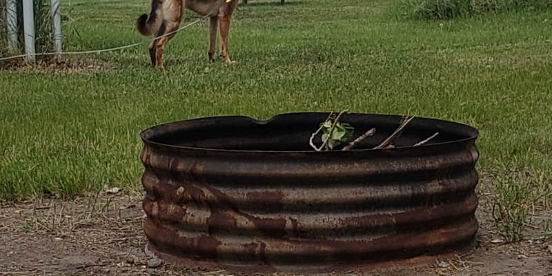 Camper submitted image from Sportsman's Centennial Park