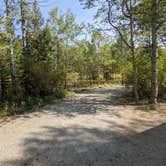 Review photo of North Fork Campground - Sawtooth National Forest by Laura M., June 18, 2022