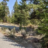 Review photo of Salmon River Campground by Laura M., June 18, 2022