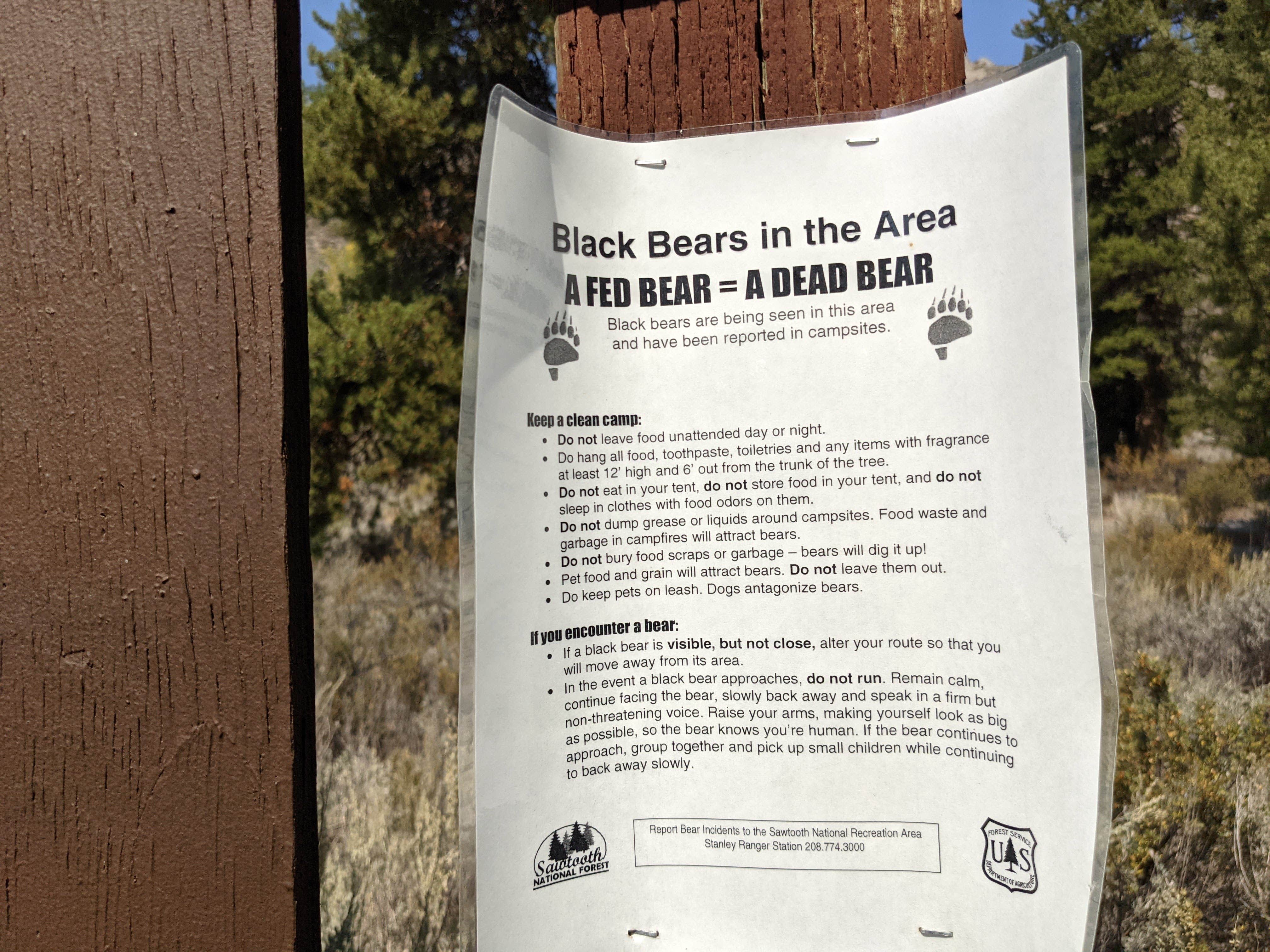 Camper-submitted photo at Salmon River Campground near Clayton, ID