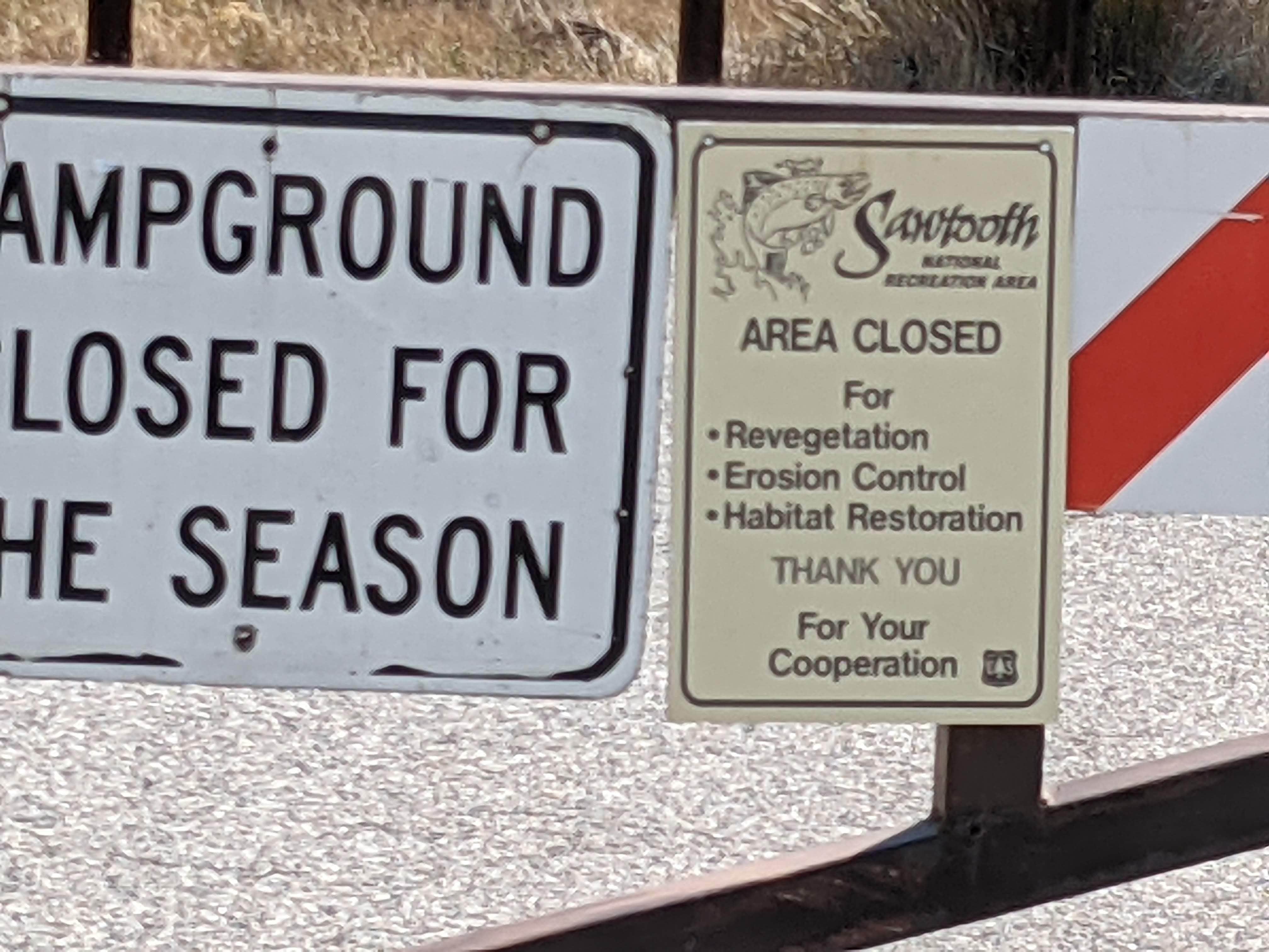 Camper-submitted photo at Salmon River Campground near Stanley, ID