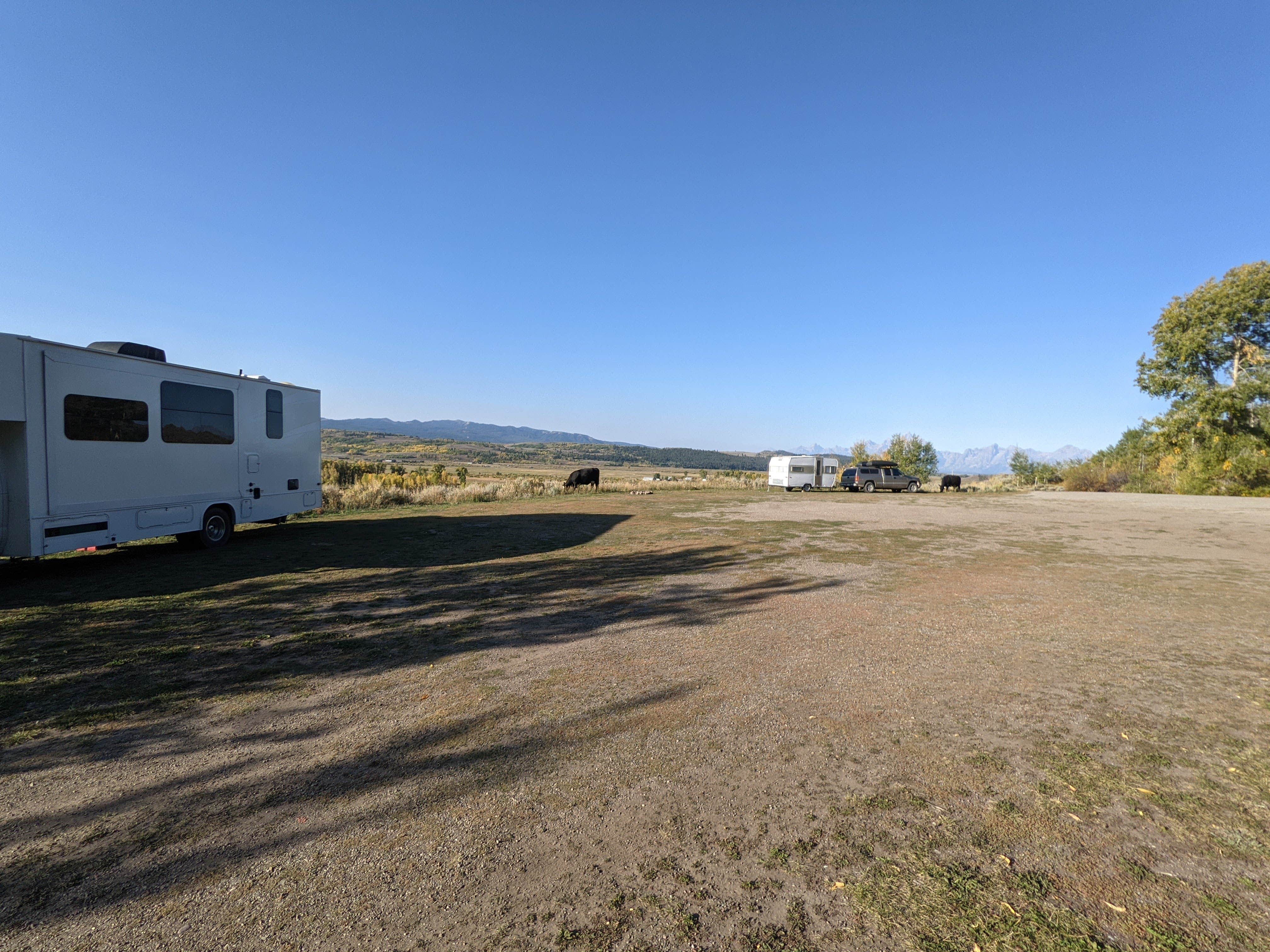 Camper submitted image from Buffalo Valley Designated Dispersed Camping - 4