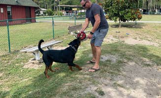 Ben F.'s photo of camping with pets at Lake Waldena Resort near Ocklawaha, FL