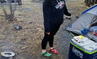 Marcia L.'s photo at Seward City Campgrounds near Seward, AK