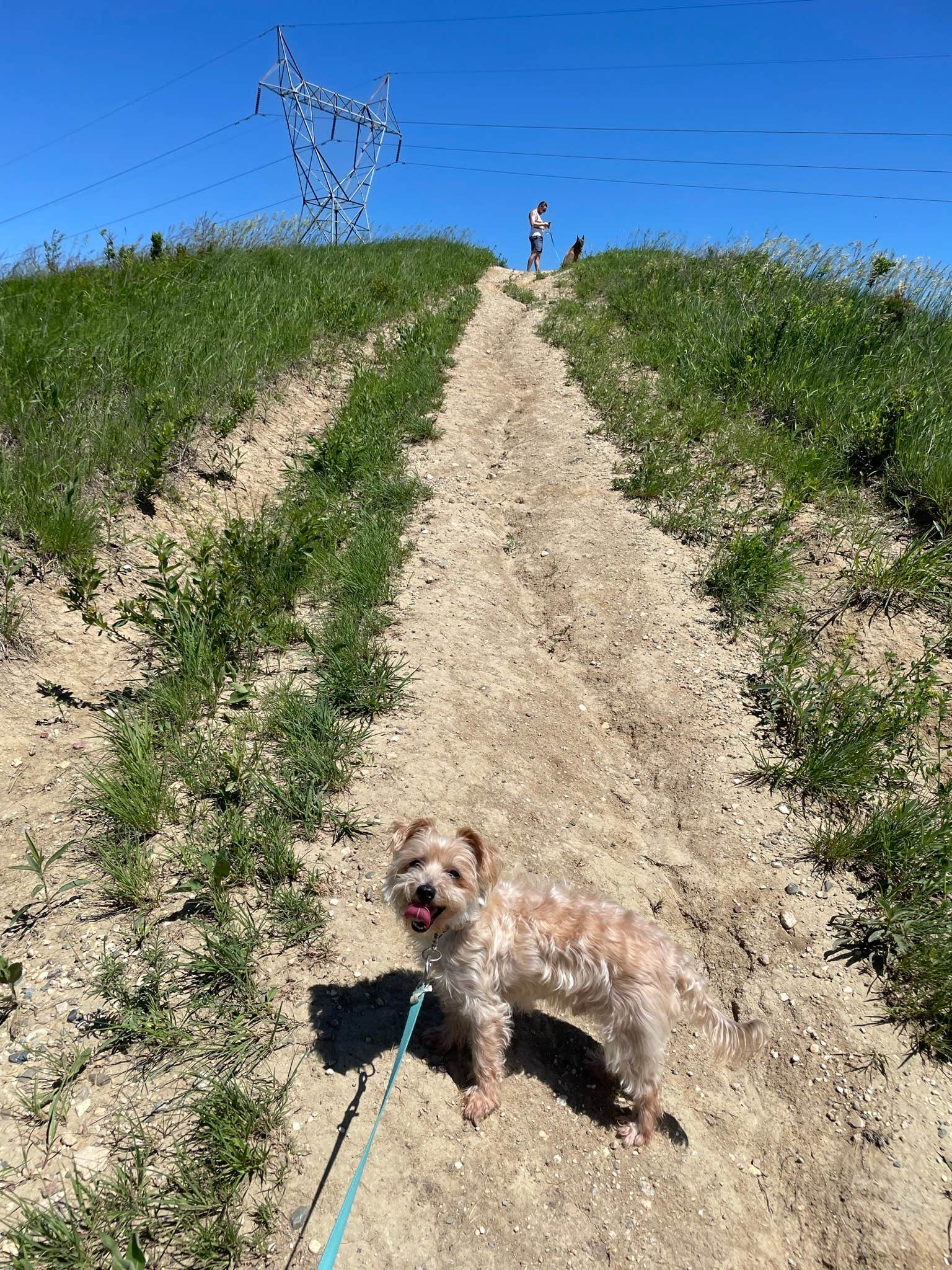 Marie B.'s photo of camping with pets at Big Sioux Recreation Area — Big Sioux near Garretson, SD