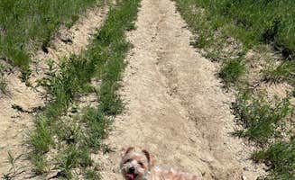Marie B.'s photo of camping with pets at Big Sioux Recreation Area — Big Sioux near Garretson, SD