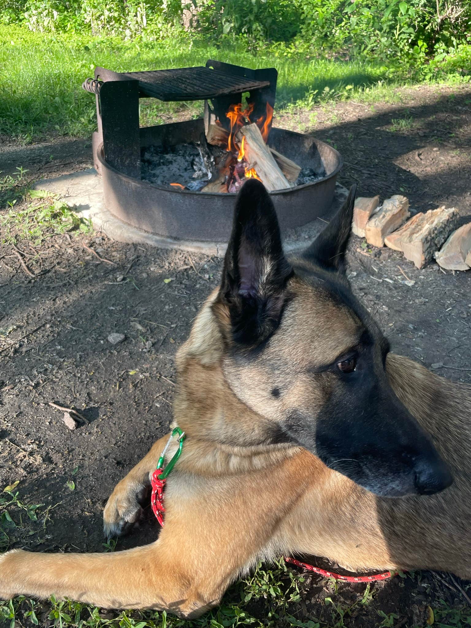 Marie B.'s photo of camping with pets at Big Sioux Recreation Area — Big Sioux near Canistota, SD