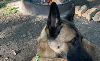 Marie B.'s photo of camping with pets at Big Sioux Recreation Area — Big Sioux near Sioux Falls, SD