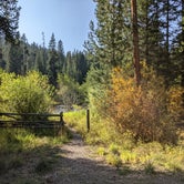 Review photo of Threemile Campground by Laura M., June 18, 2022