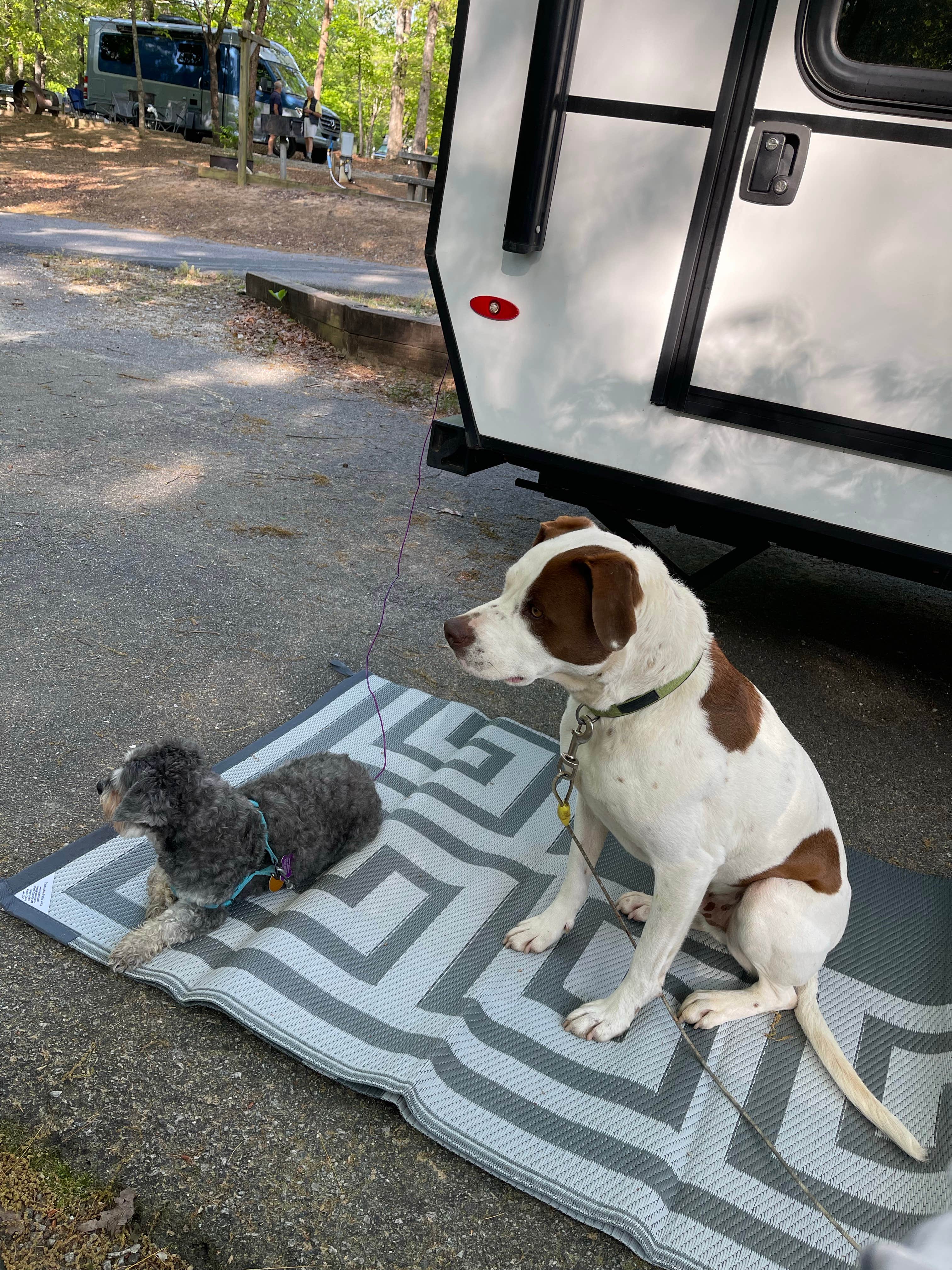 Tiffany S.'s photo of camping with pets at River Campground, LLC near Mount Airy, GA