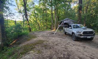 Camping near North Webb Lake Camp: Mike Freeze Wattensaw  WMA, McRae, Arkansas