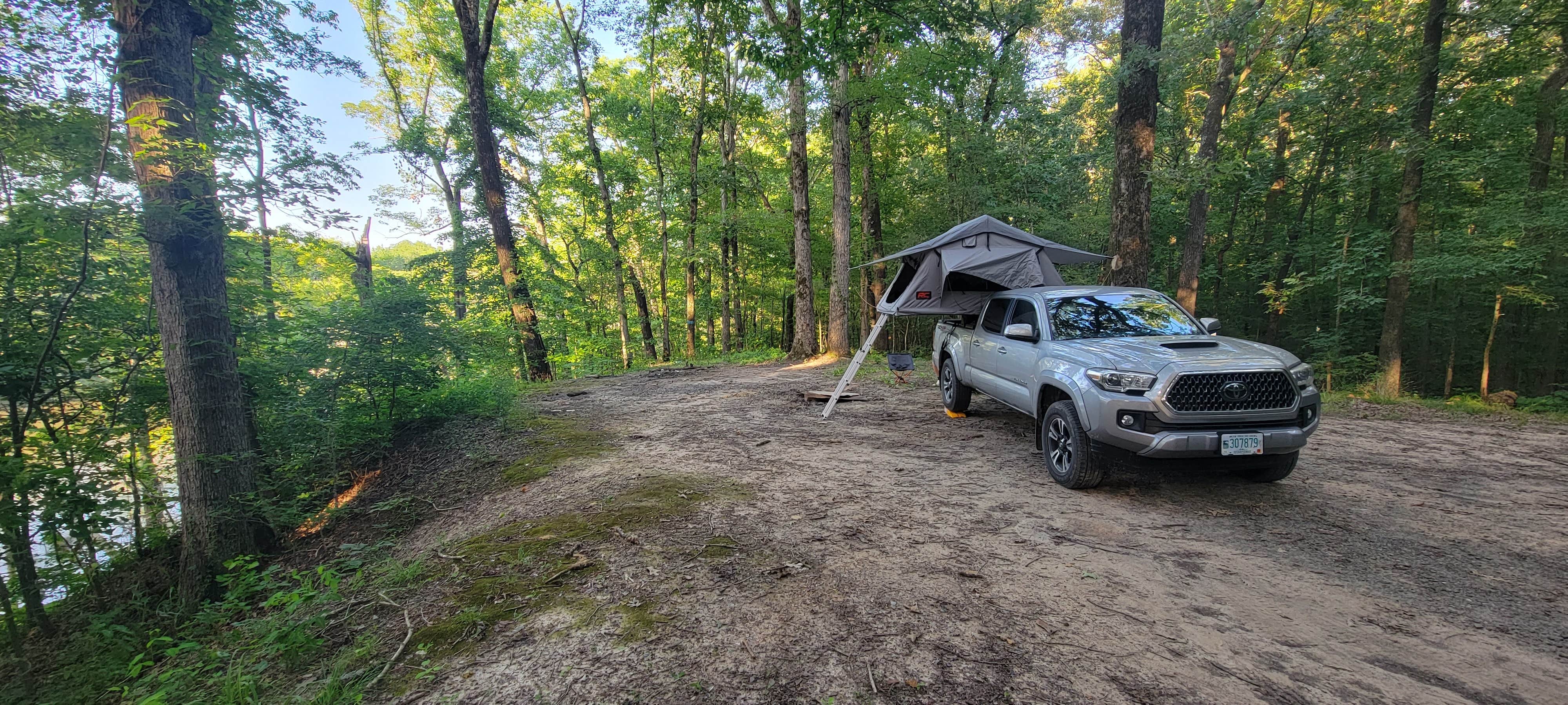 Camper submitted image from Mike Freeze Wattensaw  WMA - 1