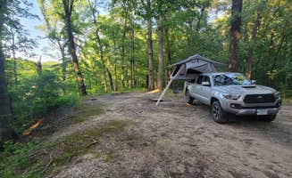 Daniel S.'s photo at Mike Freeze Wattensaw  WMA near Arkansas River - Pool 3