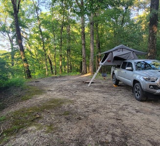 Camper-submitted photo from Mike Freeze Wattensaw  WMA