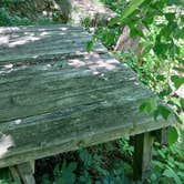 Review photo of Loud Thunder Forest Preserve by James M., June 18, 2022