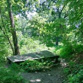 Review photo of Loud Thunder Forest Preserve by James M., June 18, 2022